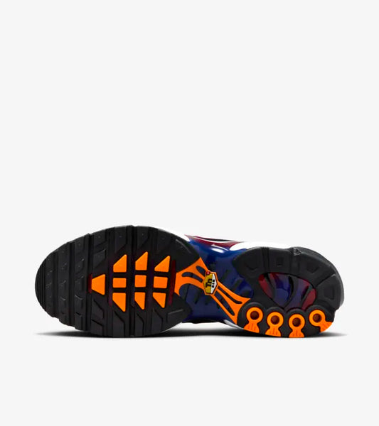 Air Max Plus Patta FC Barcelona