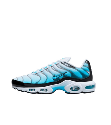 Air Max Plus Baltic Blue